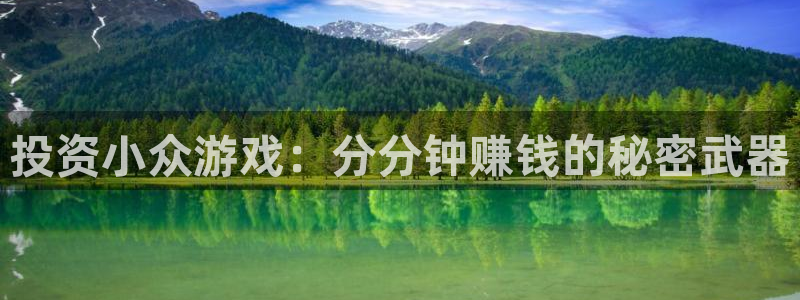 新宝GGlogo：投资小众游戏：分分钟赚钱的秘密武器