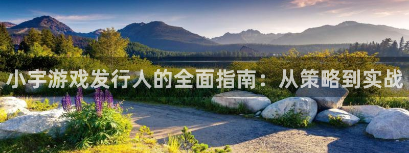 新宝GG烟照片：小宇游戏发行人的全面指南：从策略到实战