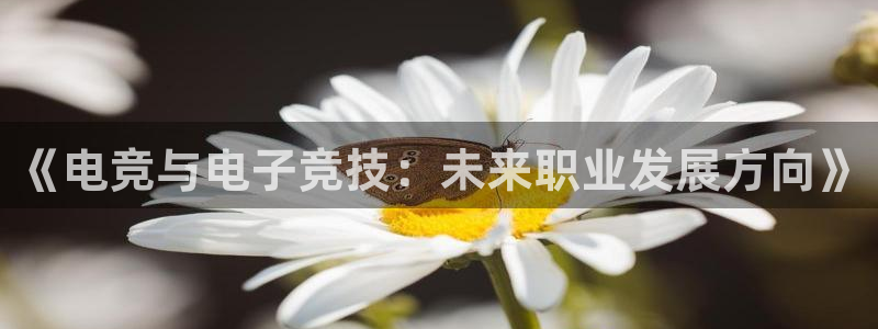 新宝GG子经理人