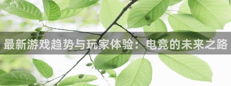 新宝GG娱乐测速官网
