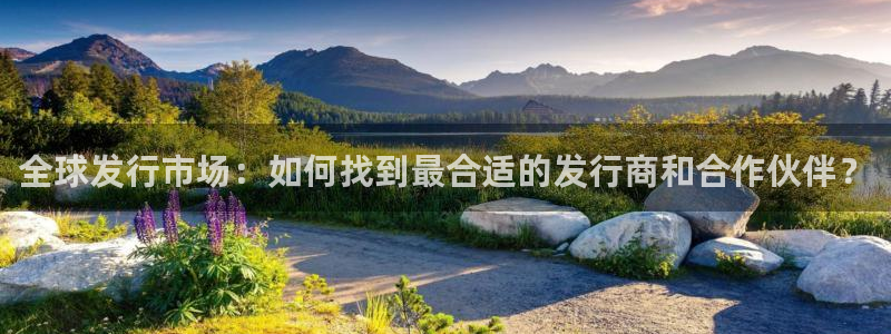 新宝GG官网登录注册不了怎么办：全球发行市场：如何找到最合适的发行商和合作伙伴？