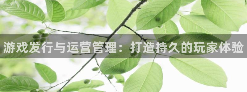 新宝GG子酒业：游戏发行与运营管理：打造持久的玩家体验