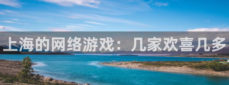 广州新宝GG网络科技有限公司怎么样：上海的网络游戏：几家欢喜几多