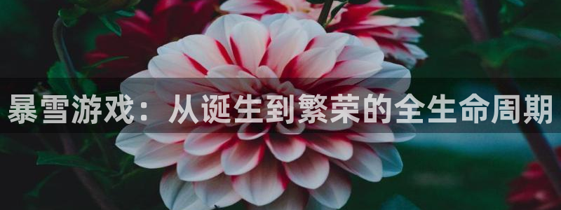 新宝GG官网注册平台怎么样：暴雪游戏：从诞生到繁荣的全生命周期