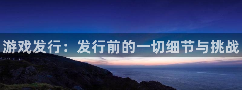 作者新宝GG子：游戏发行：发行前的一切细节与挑战