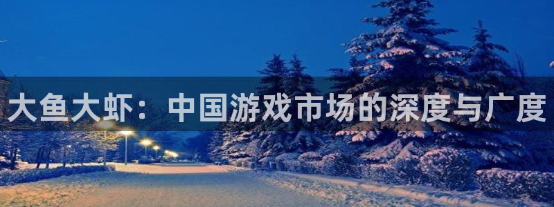 新宝GG官网官网注册账号怎么注册：大鱼大虾：中国游戏市场的深度与广度