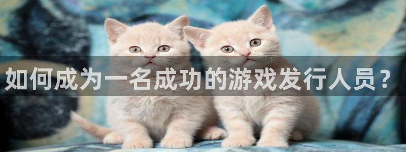 新宝GG官网注册方法是什么意思：如何成为一名成功的游戏发行人员？