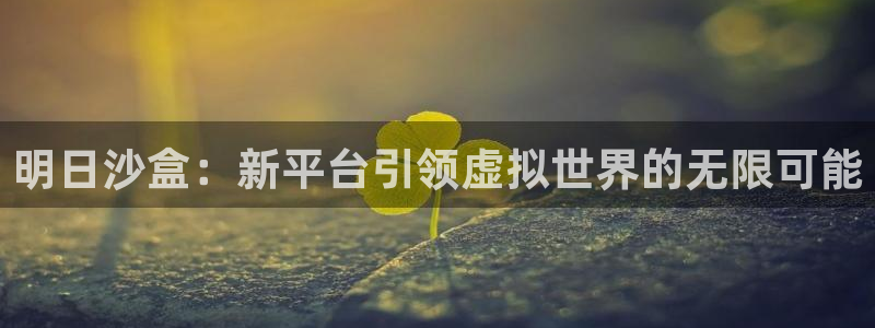 新宝GG子代表什么意思：明日沙盒：新平台引领虚拟世界的无限可能