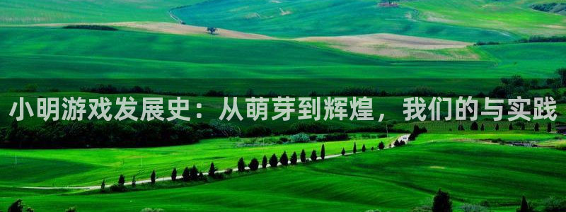新宝GG子年度最佳图书：小明游戏发展史：从萌芽到辉煌，我们的与实践