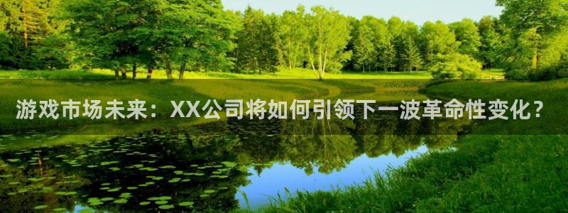 新宝GG是什么：游戏市场未来：XX公司将如何引领下一波革命性变化？