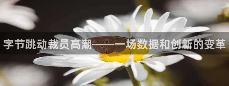 新宝GG官网登录注册失败怎么回事：字节跳动裁员高潮——一场数据和创新的变革