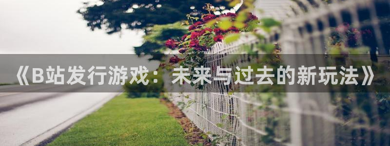广东新宝GG电子商务有限公司电话：《B站发行游戏：未来与过去的新玩法》