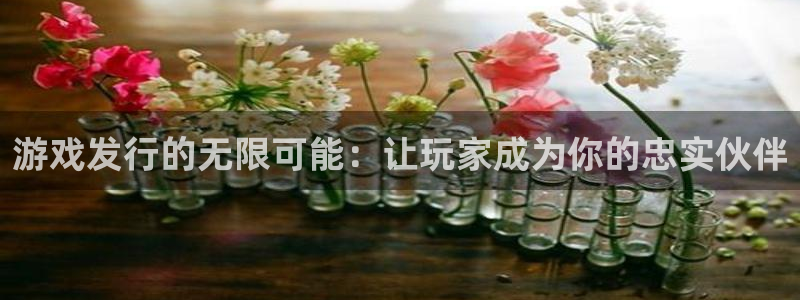 广州新宝GG网络科技有限公司：游戏发行的无限可能：让玩家成为你的忠实伙伴