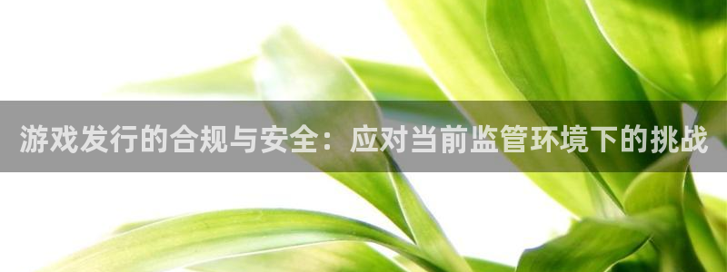 新宝GG电子商务：游戏发行的合规与安全：应对当前监管环境下的挑战