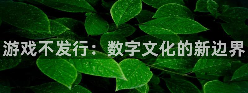 新宝GG品牌策划