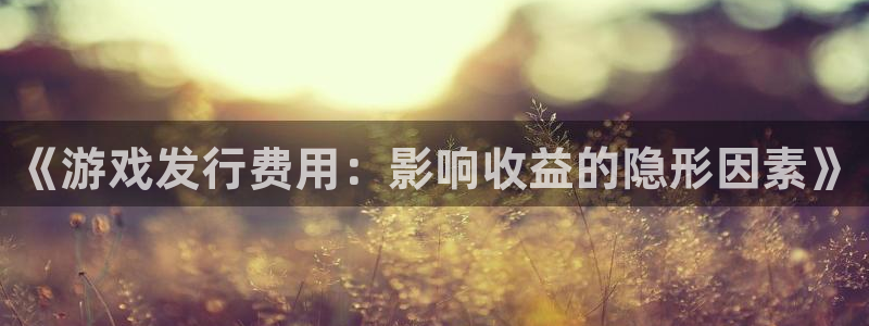 新宝GG官网跑路了吗：《游戏发行费用：影响收益的隐形因素》