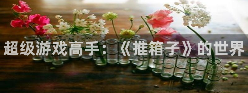 广东新宝GG电子商务有限公司