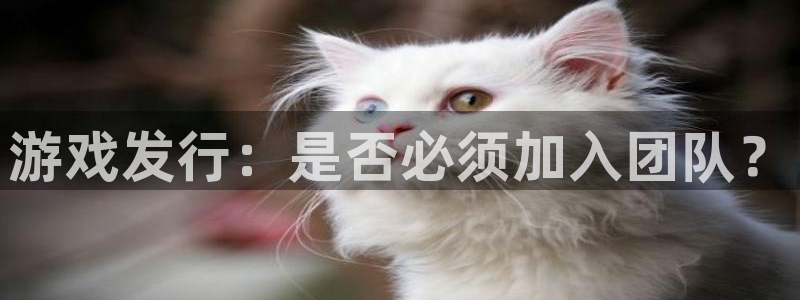 新宝GG仓储中心：游戏发行：是否必须加入团队？
