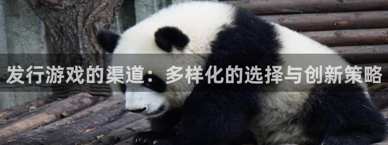 新宝GG官网游戏：发行游戏的渠道：多样化的选择与创新策略