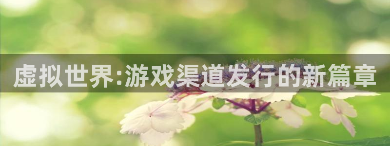 新宝GG官网注册地址查询官网：虚拟世界:游戏渠道发行的新篇章