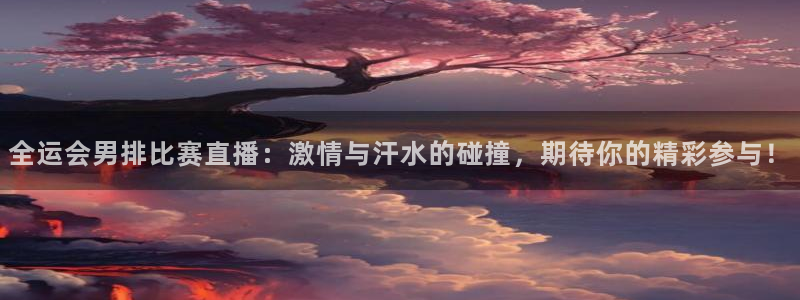 说球帝在线：全运会男排比赛直播：激情与汗水的碰撞，期待你的精彩参与！