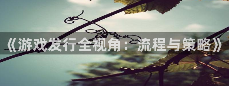 新宝GG有什么寓意