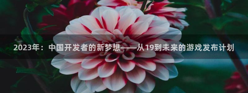 新宝GG官网游戏平台介绍