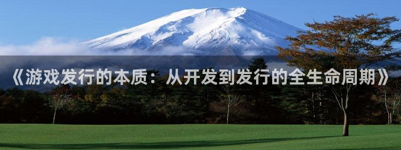 新宝GG官网平台怎么样：《游戏发行的本质：从开发到发行的全生命周期》