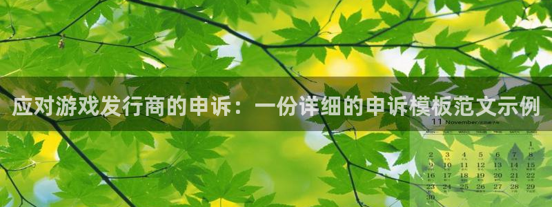 新宝GG官网登录注册账号：应对游戏发行商的申诉：一份详细的申诉模板范文示例