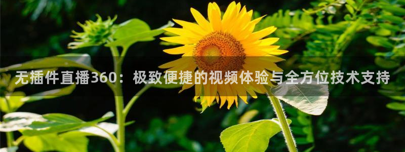 说球帝nba直播在线观看免费app：无插件直播360：极致便捷的视频体验与全方位技术支持