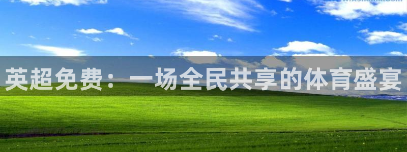 说球帝直播在线免费观看：英超免费：一场全民共享的体育盛宴