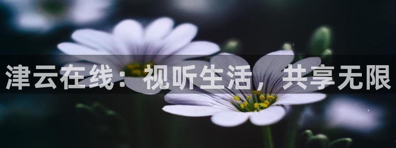 说球帝24小时直播在线观看：津云在线：视听生活，共享无限